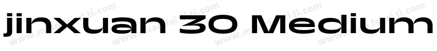 jinxuan 30 Medium B5pc H字体转换